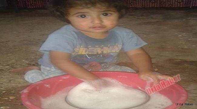 Şanlıurfa'da akrebin soktuğu çocuk öldü