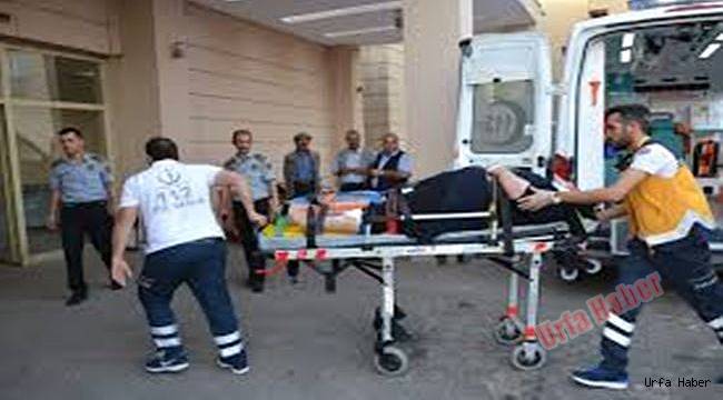 Şanlıurfa'da minibüs devrildi: 5 yaralı