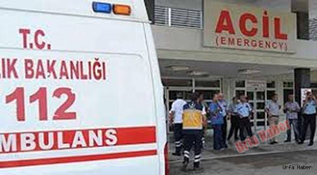 Şanlıurfa'da taşlı sopalı kavga: 7 yaralı