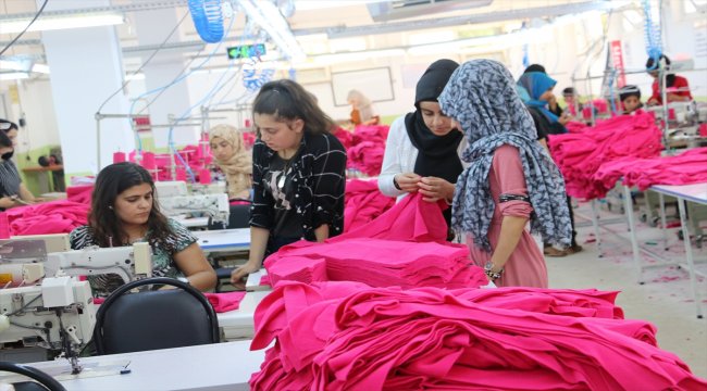 Arkadaşlarını örnek aldı memleketinde patron oldu