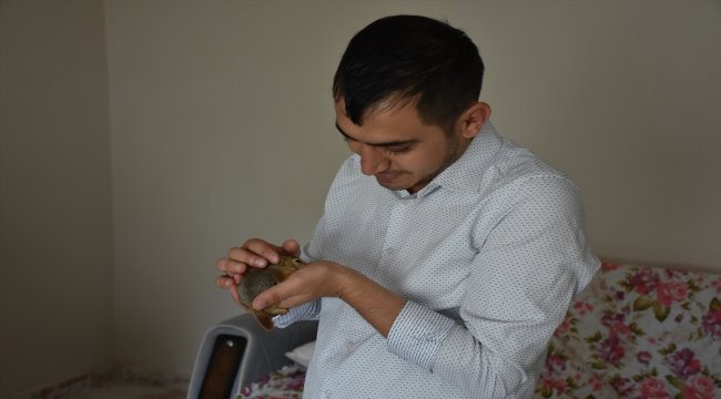 Bahçesinde bulduğu sincap yavrusunu sahiplendi