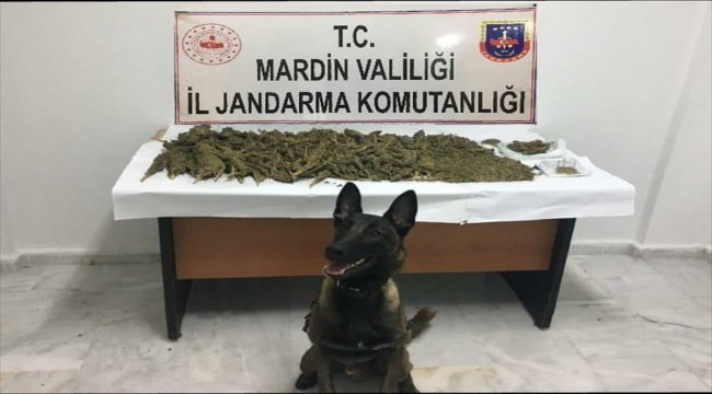 "Dur" ihtarına uymayan araçta uyuşturucu çıktı