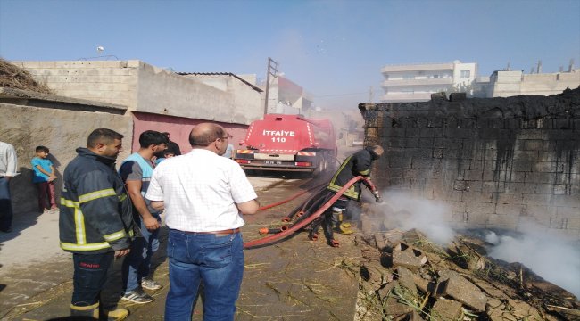 Şanlıurfa'da ahır yangını