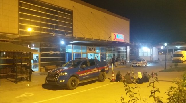 Şanlıurfa'da otomobil ata çarptı: 1 ölü, 3 yaralı