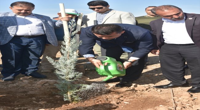 "11 Milyon Ağaç; Bugün Fidan, Yarın Nefes" Programı