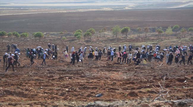 "11 Milyon Ağaç; Bugün Fidan, Yarın Nefes" Programı