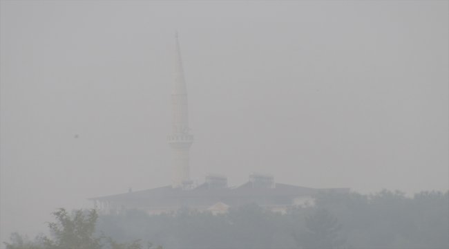 Araban'da yoğun sis hayatı olumsuz etkiledi