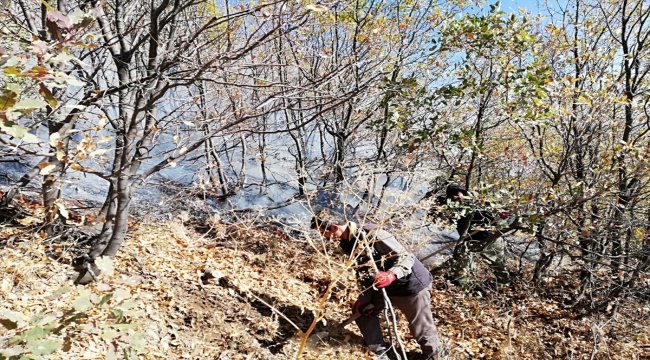 Baykan kırsalında yangın