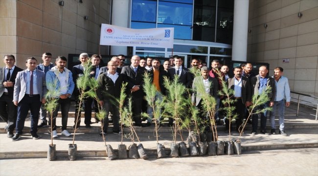 Cizre'de denetimli serbestlik yükümlülerine 250 fidan dağıtıldı