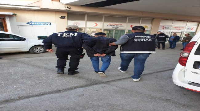 Cizre'de düzenlenen uyuşturucu operasyonunda 6 zanlı tutuklandı