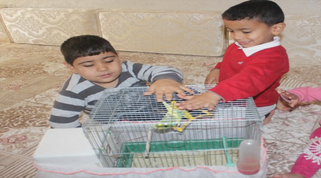 Doğuştan felçli Abdülkadir köpeği ve muhabbet kuşuyla hayata tutunuyor