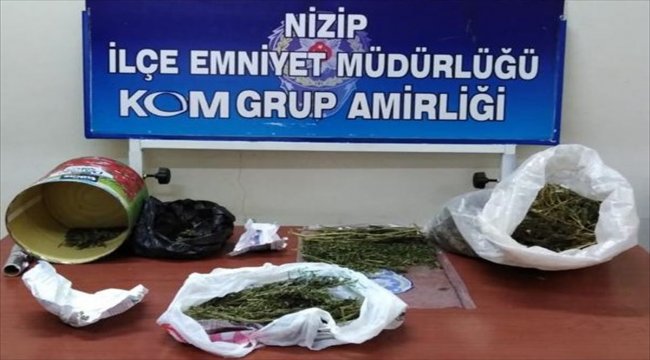 Nizip'te 2 kilo 173 gram esrar ele geçirildi
