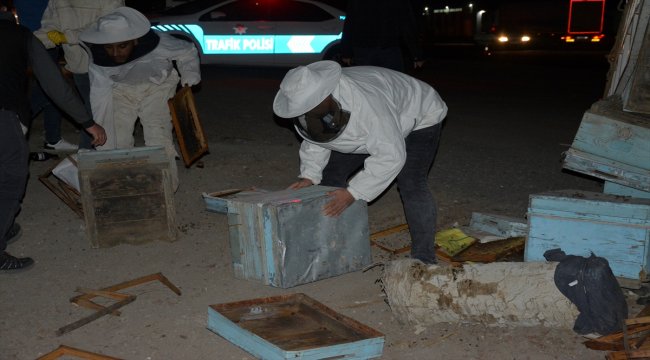 Şanlıurfa'da arı kovanı yüklü kamyonetle tır çarpıştı: 1 yaralı