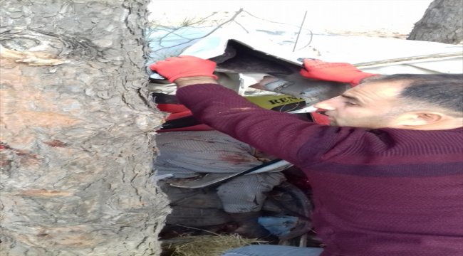 Şanlıurfa'da otomobil şarampole devrildi: 1 ölü, 2 yaralı