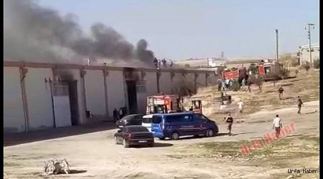 Şanlıurfa Organizede Yangın