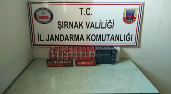 Şırnak'ta uyuşturucu ve kaçakçılık operasyonlarında 46 şüpheli yakalandı