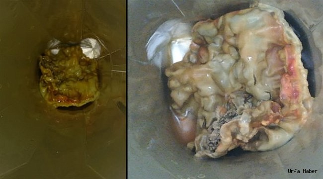"Cappy canavarı" çıkan meyve suları toplatıldı