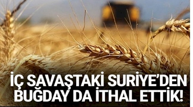 Suriye'den Urfa'ya buğday zeytin ithalatı
