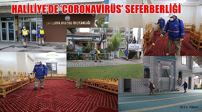 Haliliye'de 'Coronavirüs' seferberliği sürüyor