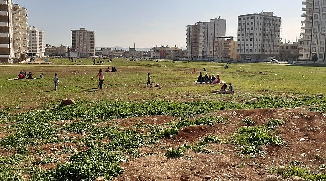 Urfalıların piknik keyfi