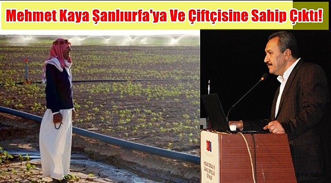 Mehmet Kaya Şanlıurfa'ya ve Çiftçisine Sahip Çıktı!