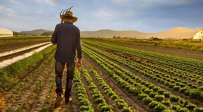 Siyaset  İl Başkanı Çiftçilere Sordu: Çiftçi Kardeşlerim Sizin Hiç mi Derdiniz Yok?
