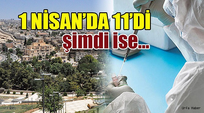 Urfa'da Corona K-19 vaka sayısı arttı