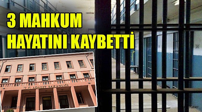 Virüs 5 Cezaevine sıçradı 3 mahkum öldü