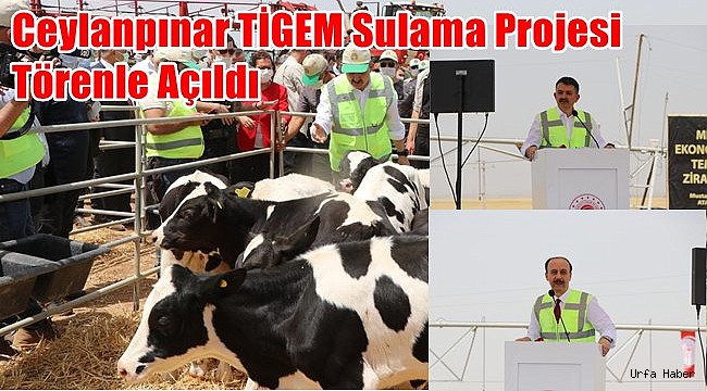 Ceylanpınar TİGEM Sulama Projesi Törenle Açıldı
