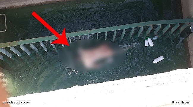Sulama kanalında ceset bulundu