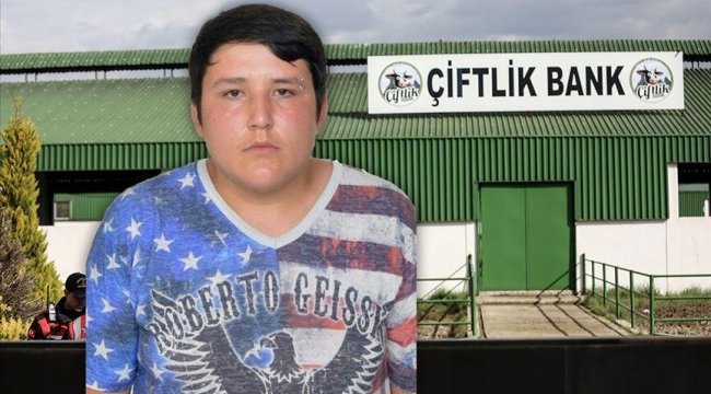 Tosuncuk, Tutuklanmama güvencesi istedi