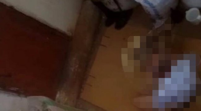 Ayaklarını hortumla bağladığı köpeğe tecavüz etti