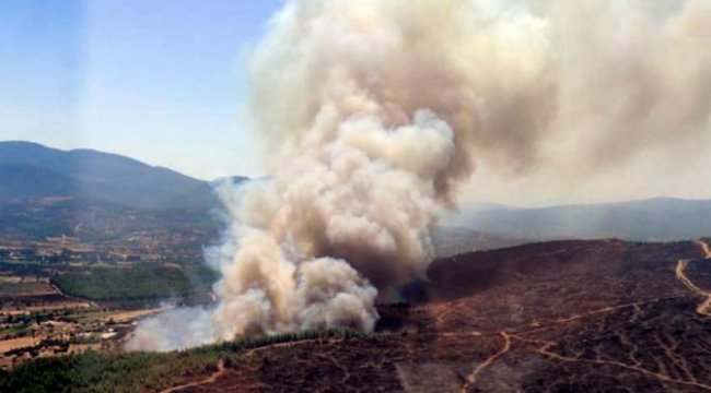 Milas yanıyor! Rüzgarın etkisiyle büyüdü
