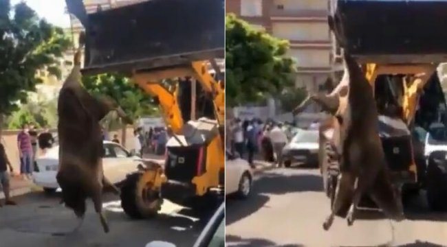 Sosyal medyayı ayağa kaldıran görüntü