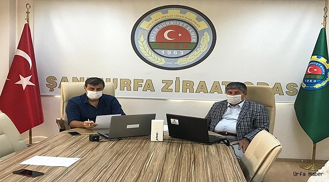 Pamuk ve mısır ücretleri belli oldu