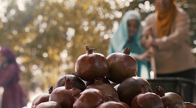 Karaköprü'nün geçmişi film oldu