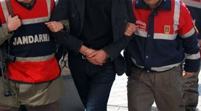 Urfa'da cep telefonu kaçakçılığı operasyonu