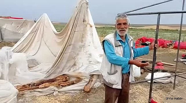 Urfalı Tarım İşçilerini Kum Fırtınası Vurdu