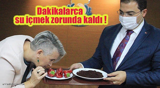 İrlanda Büyükelçisi'nin Urfa sınavı