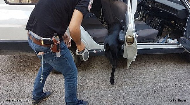 Şanlıurfa'da uyuşturucu operasyonunda 7 kişi tutuklandı