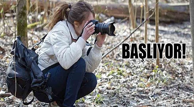 Siz de profesyonel bir fotoğrafçı olabilirsiniz!