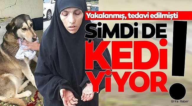 Kedi Yiyen Kadınla İlgili Flaş Gelişme...
