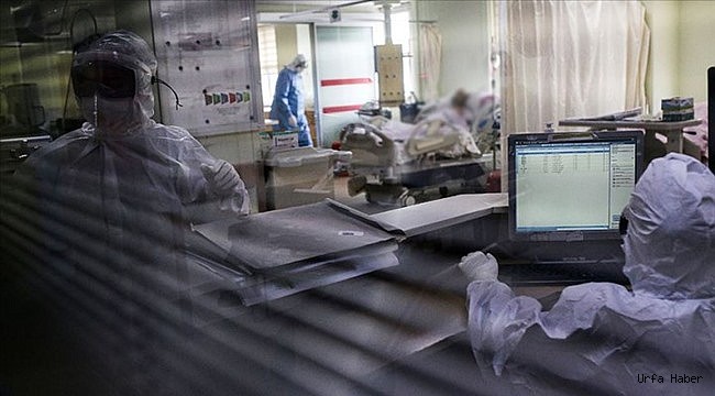 Türkiye'de son 24 saatte koronaviruste neler yaşandı