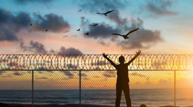 Bugün 10 Aralık Dünya İnsan Hakları Günü: Nasıl ortaya çıktı?
