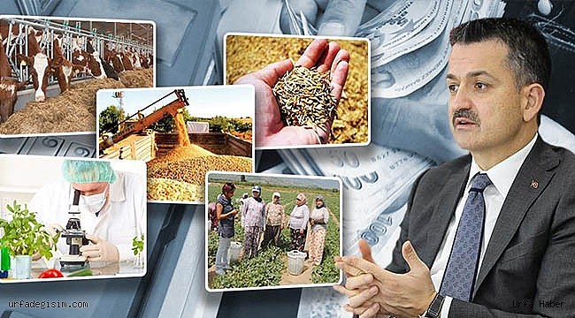 Destek ödemeleri bugün yapılacak