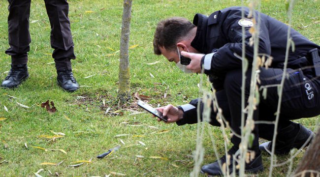 Parkta dehşeti yaşadı: 'Bir anda acı hissettim, çığlık attım'