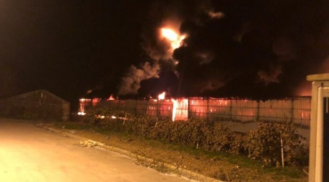 Strafor fabrikası alev alev yandı