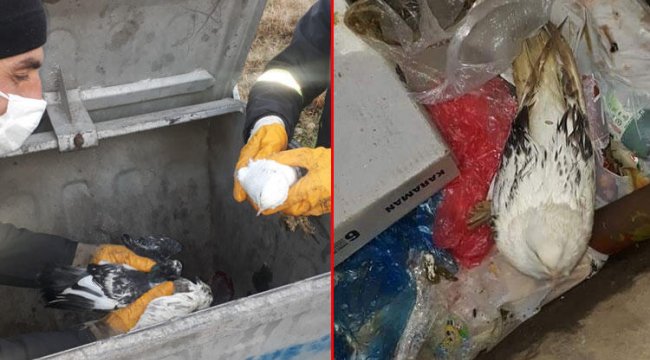 Temizlik işçisi gözlerine inanamadı! Poşete koyup çöpe atmışlar