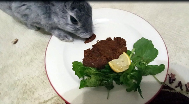 Bu Tavşan Önce Lahmacun Sonra Çiğköfte Yedi