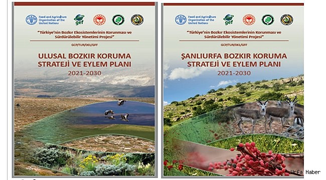 Ekosistemlerin Korunması Çalıştayı Düzenlendi
